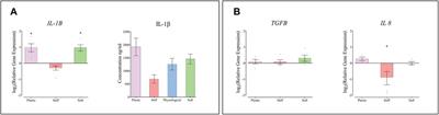 Changes in Physiological Tendon Substrate Stiffness Have Moderate Effects on Tendon-Derived Cell Growth and Immune Cell Activation